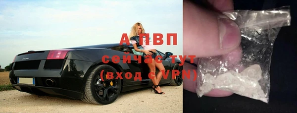 прущие грибы Верхнеуральск