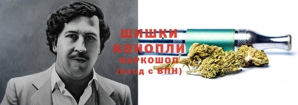 гашик Верея