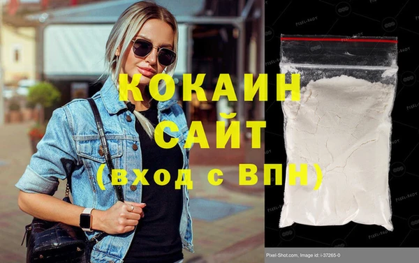 гашик Верея