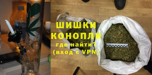 гашик Верея