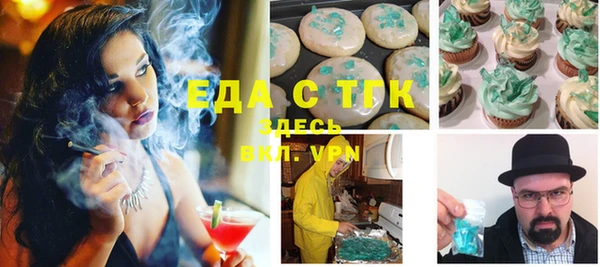 гашик Верея