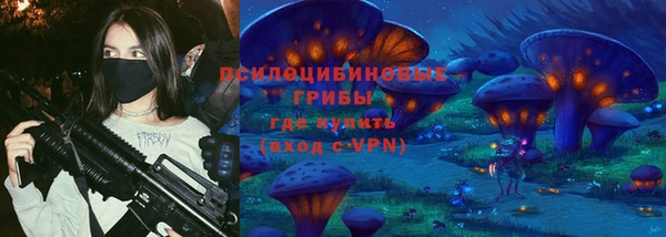 гашик Верея